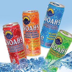 Noah's water
