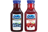 Ocean Spray Premium Cranberry and Blueberry juices