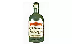 Old Scenter White Dog