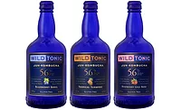 Wild Tonic Jun Kombucha Ale 