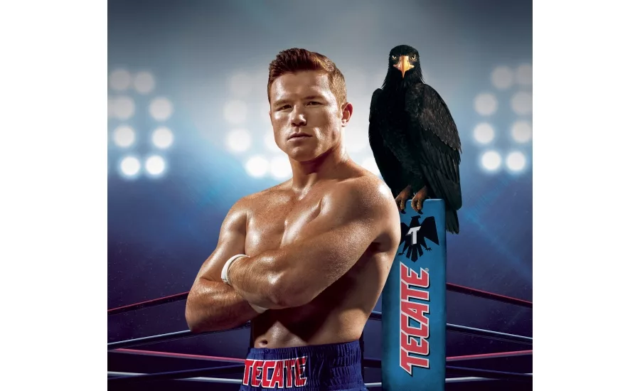 Tecate Fight Every Night