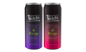 Welch's Energy