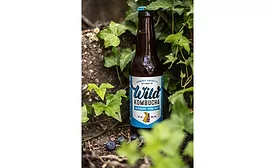 Wild Kombucha Blueberry
