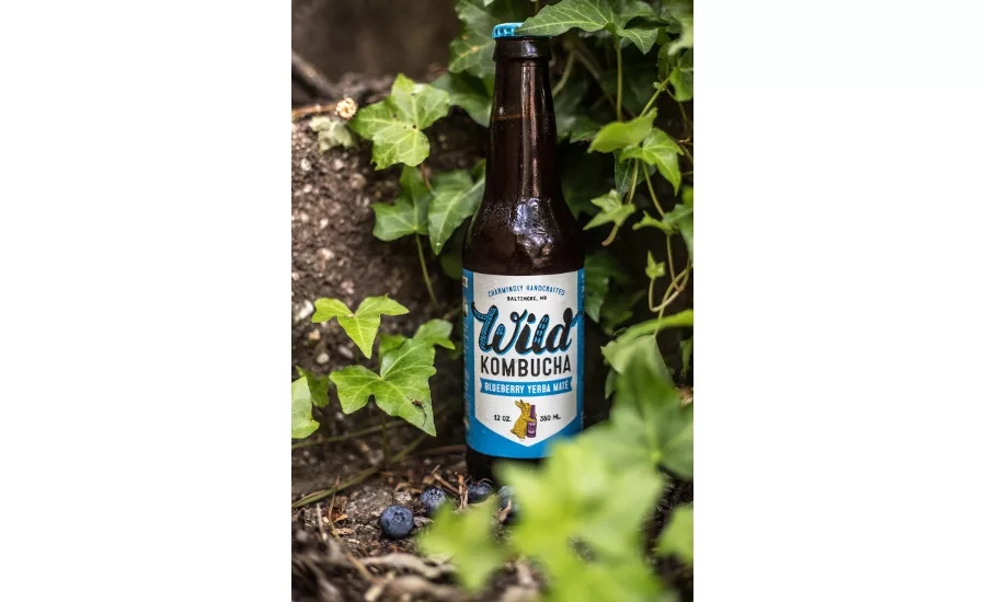 Wild Kombucha Blueberry