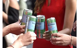S.Pellegrino New Cans
