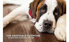 Coors Light Valentine's Day