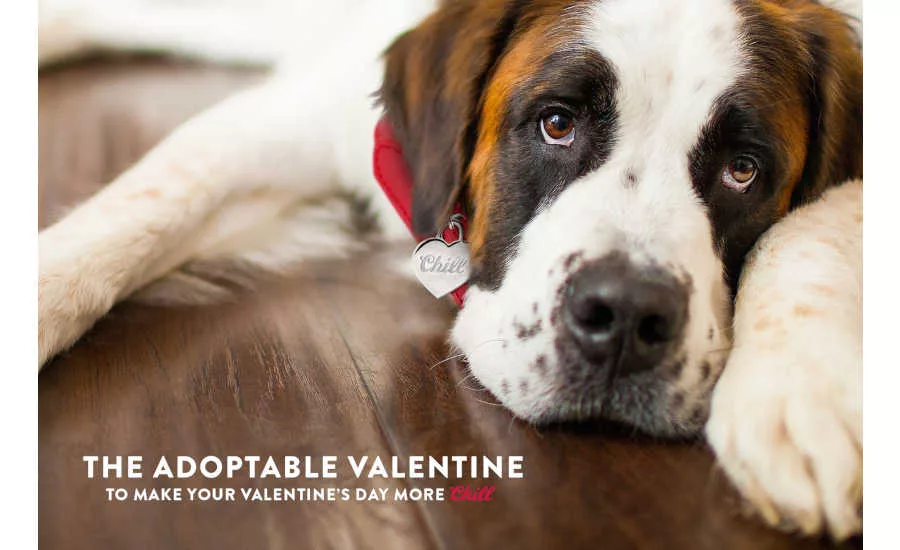 Coors Light Valentine's Day