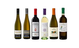 Taub Family Selections