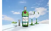Tanqueray 0.0