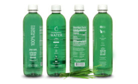 Chlorophyll rPET Bottle.jpg