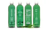 Chlorophyll rPET Bottle.jpg Chlorophyll rPET Bottle.jpg