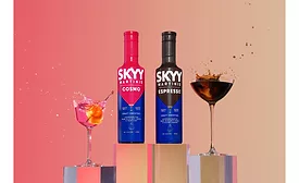 SKYY Vodka RTS Martinis.png