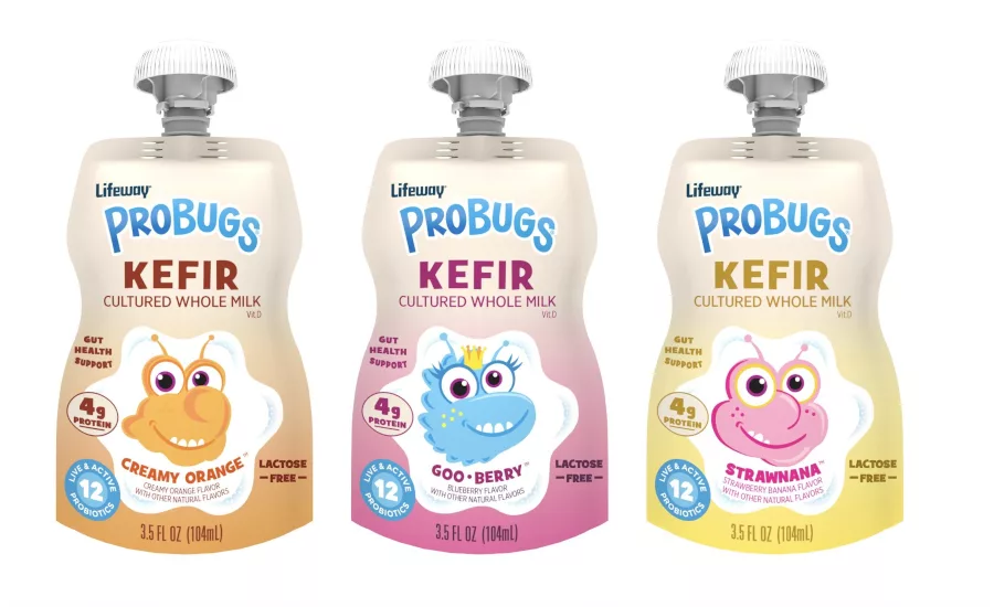 Lifeway ProBugs Kefir