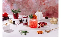 Q MIXERS CRANBERRY POMEGRANATE SPRITZ.png Q MIXERS CRANBERRY POMEGRANATE SPRITZ