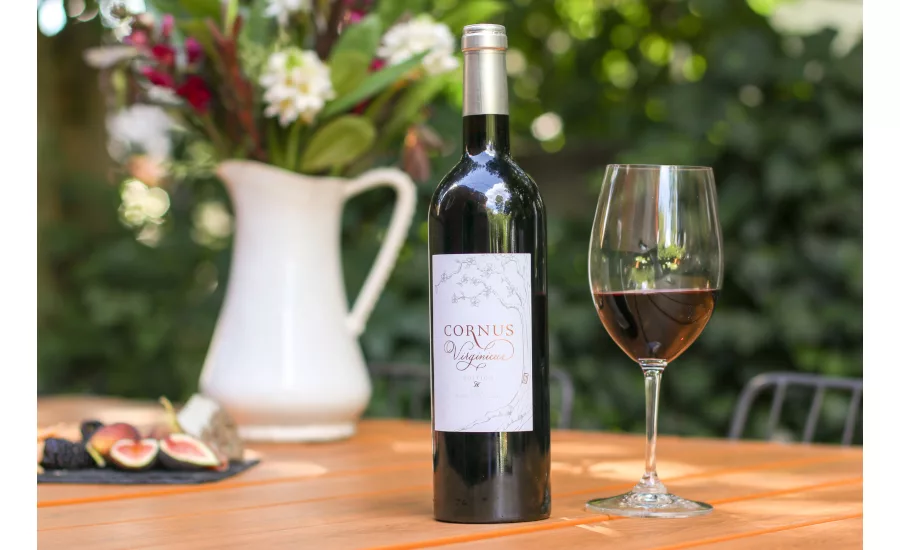 Cornus Virginicus IV