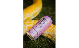 Monster Energy Ultra Wild Passion