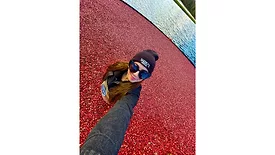 Cranberry Bog