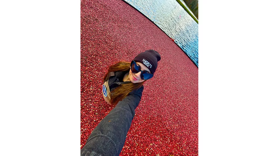 Cranberry Bog
