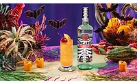 Bacardi Skeleton Bottle