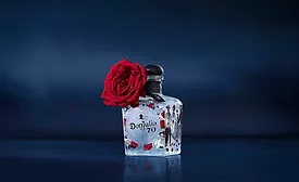 Chavarria Don Julio Bottle