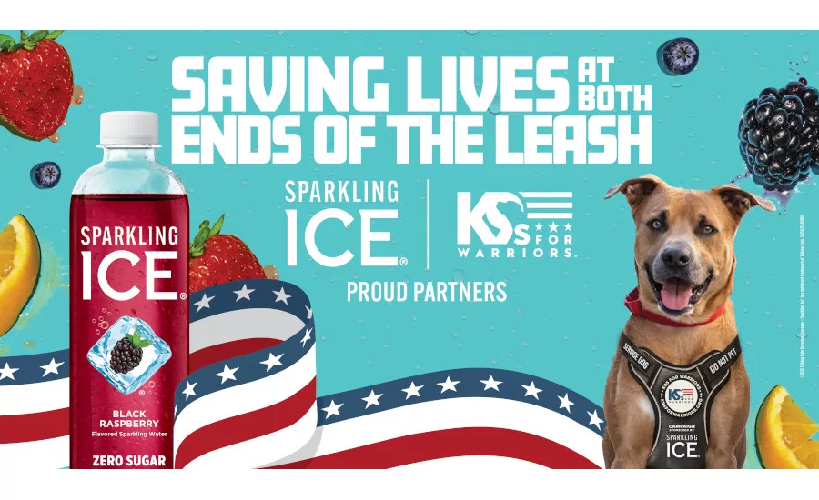 Sparkling Ice 6 packs