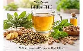 Caraway Tea Co. Breathe Blend
