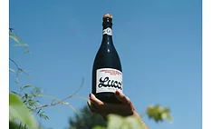 Lucci Lambrusco