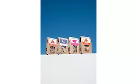 teapigs herbal teas