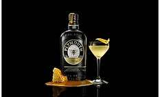 Plymouth Honey Gin