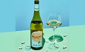 Brancott Estate Marlborough Sauvignon Blanc