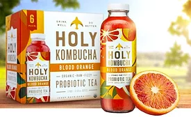 Holy Kombucha