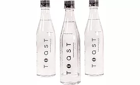 Toast H2O Alkaline Purified Water