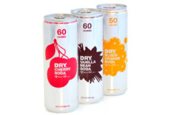 Dry Soda Summer Discovery Pack