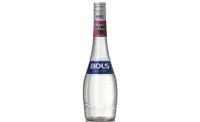 Bols Maraschino Liqueur