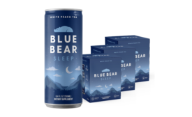 Blue Bear Sleep