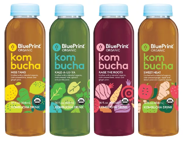 blueprint kombucha