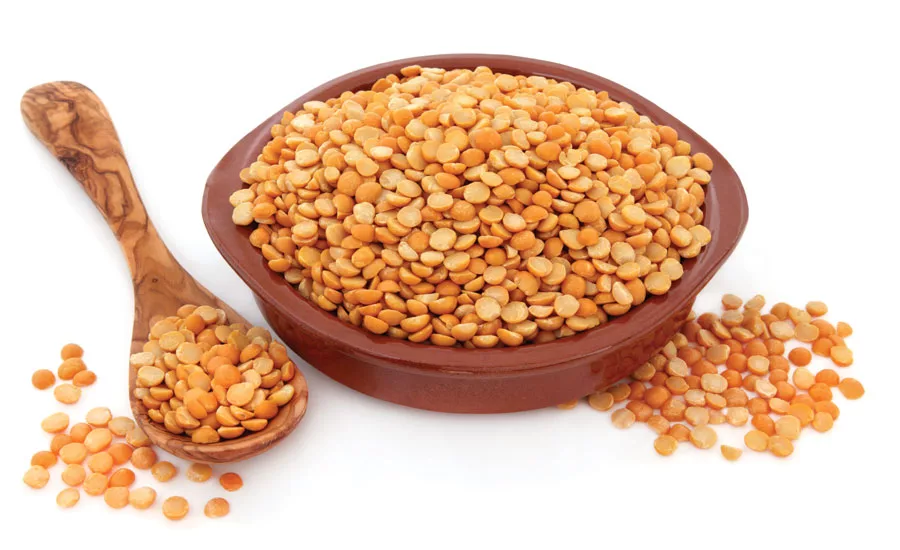 Plant-based sources of protein