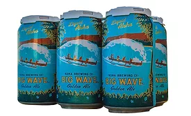 big wave