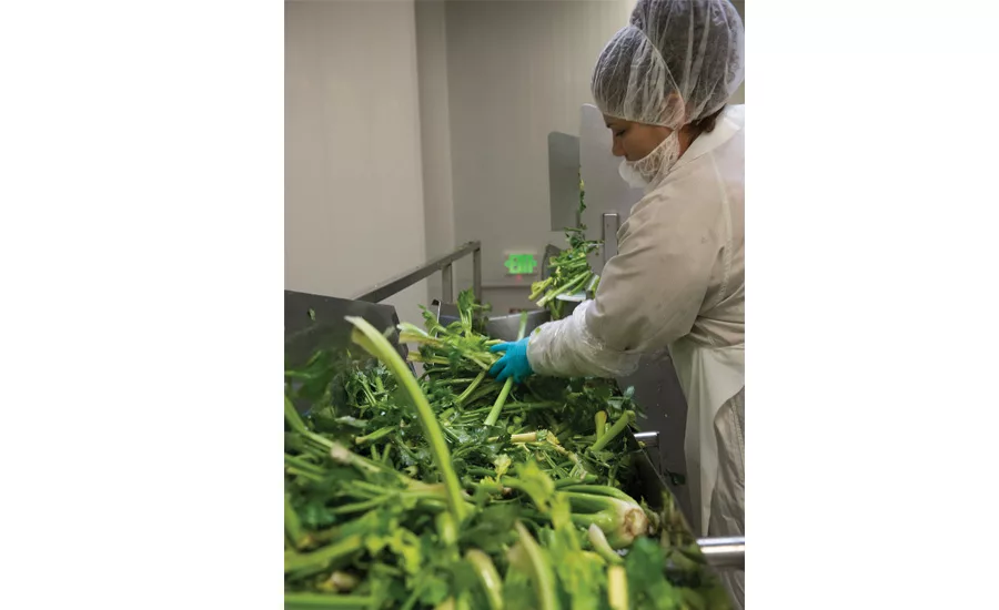 Suja Juice innovates to bring organic, HPP juices to the masses