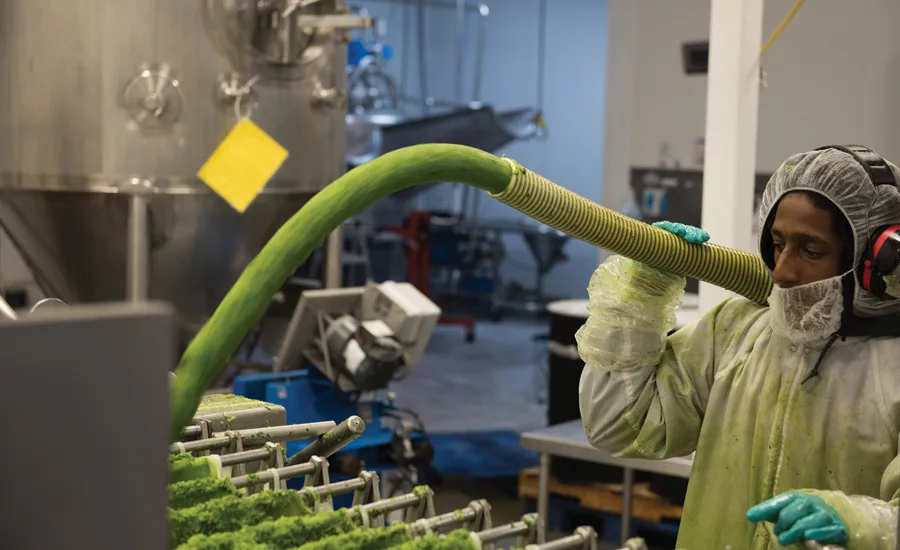 Suja Juice innovates to bring organic, HPP juices to the masses