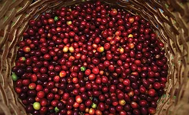 high-shear mixing equipment