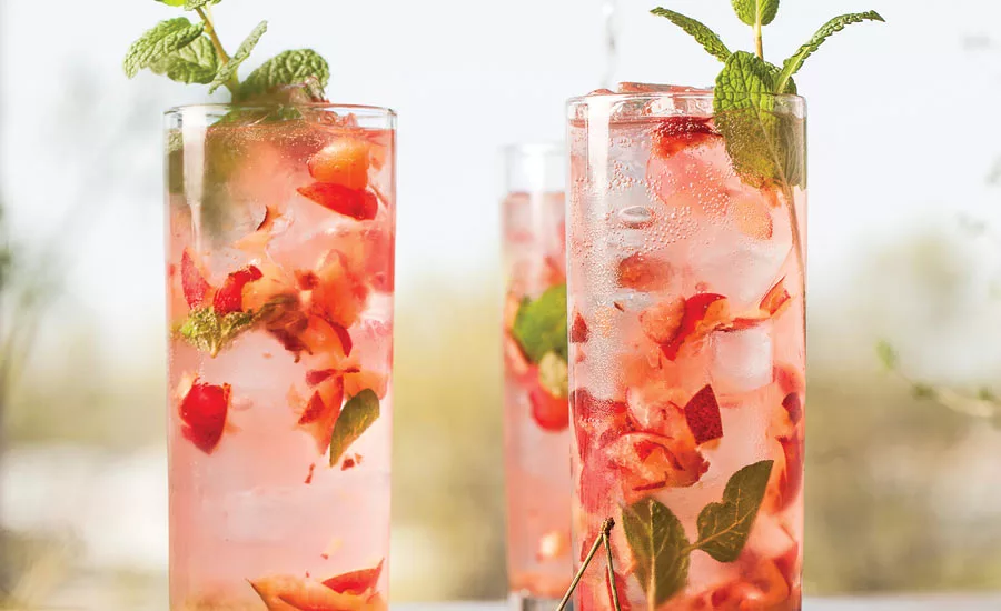 Kerry Cherry Mint Spritzers Beverage Industry