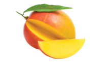 Domestic and Exotic Fruits - Mango - Beverage Industry