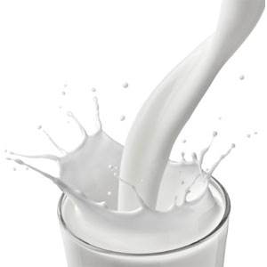 Milk - Beverage Industry
