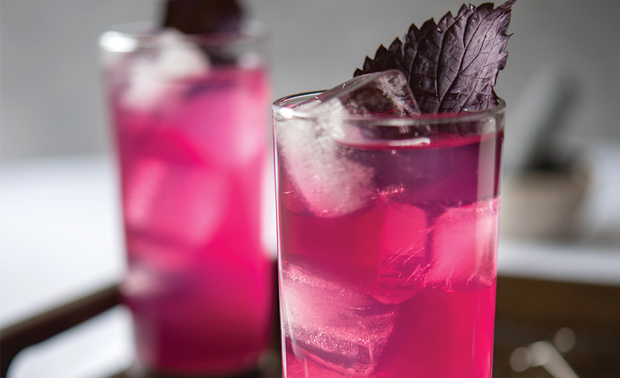 GNT-Exberry-Color-Beverages.jpg