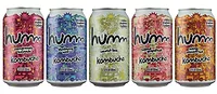 Humm Kombucha Cans