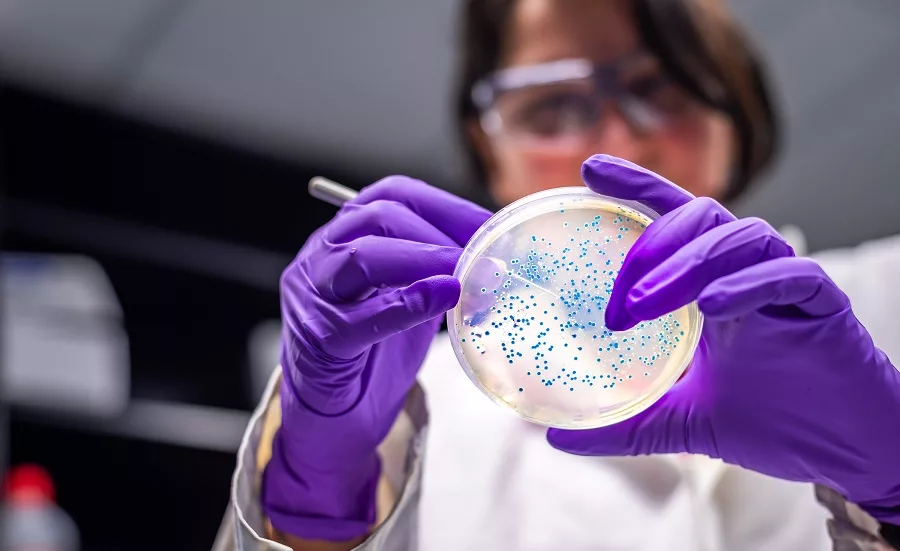 The Good, The Bad, & The Microbial