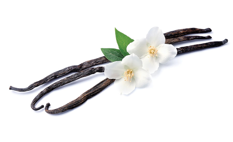 more cost-stable and reliable natural vanilla flavor alternatives