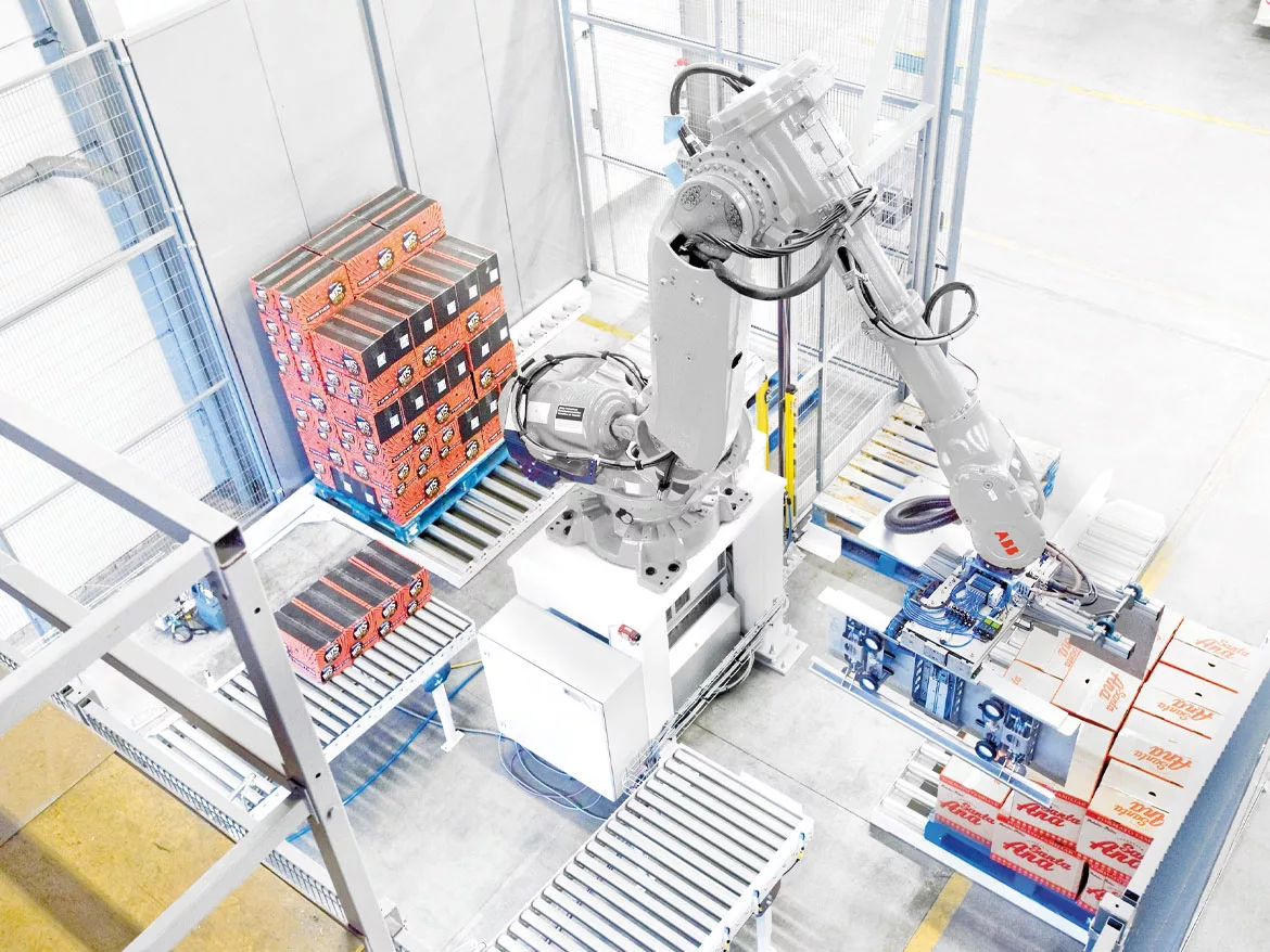 robotics for picking, packing and palletizing