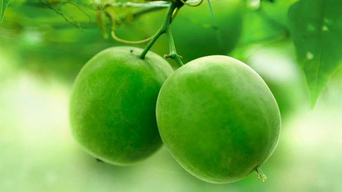 sugar reduction ingredients